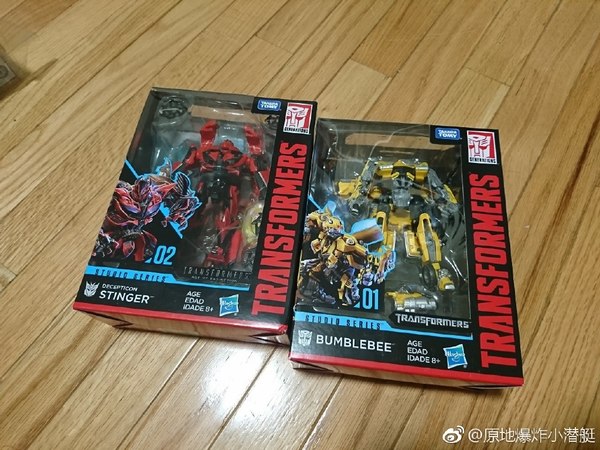 Studio Series Bumblebee Side By Side With Premier Edition Bumblebee In Hand Photos  (1 of 8)